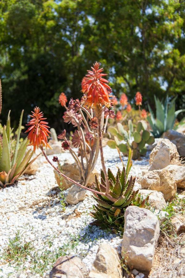 Villa Arzilla Sardegna Alghero Dış mekan fotoğraf
